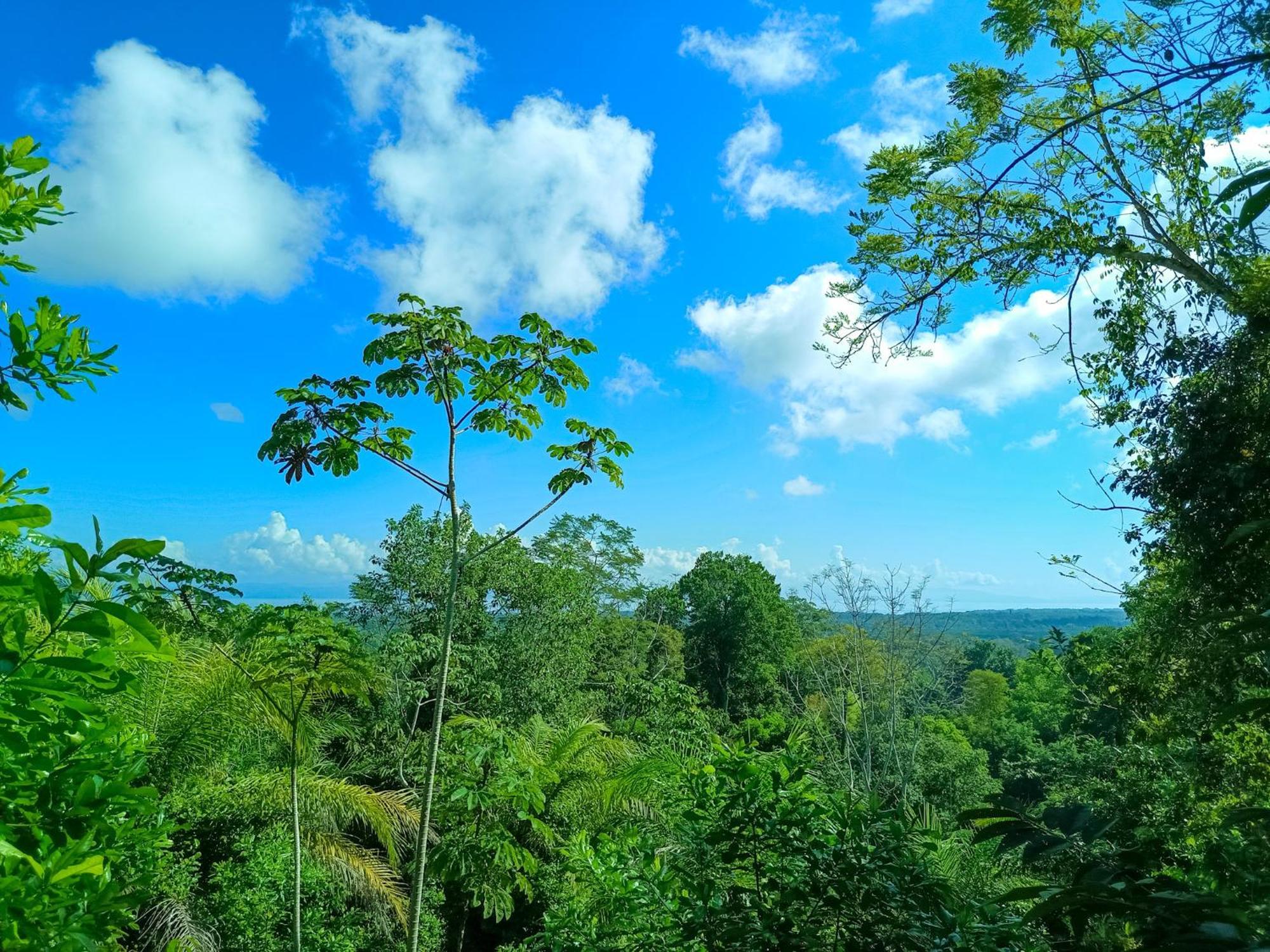 Osa Private Renting House-Villas-Tented-Best Views-Nature-Comfort Puerto Jiménez Esterno foto