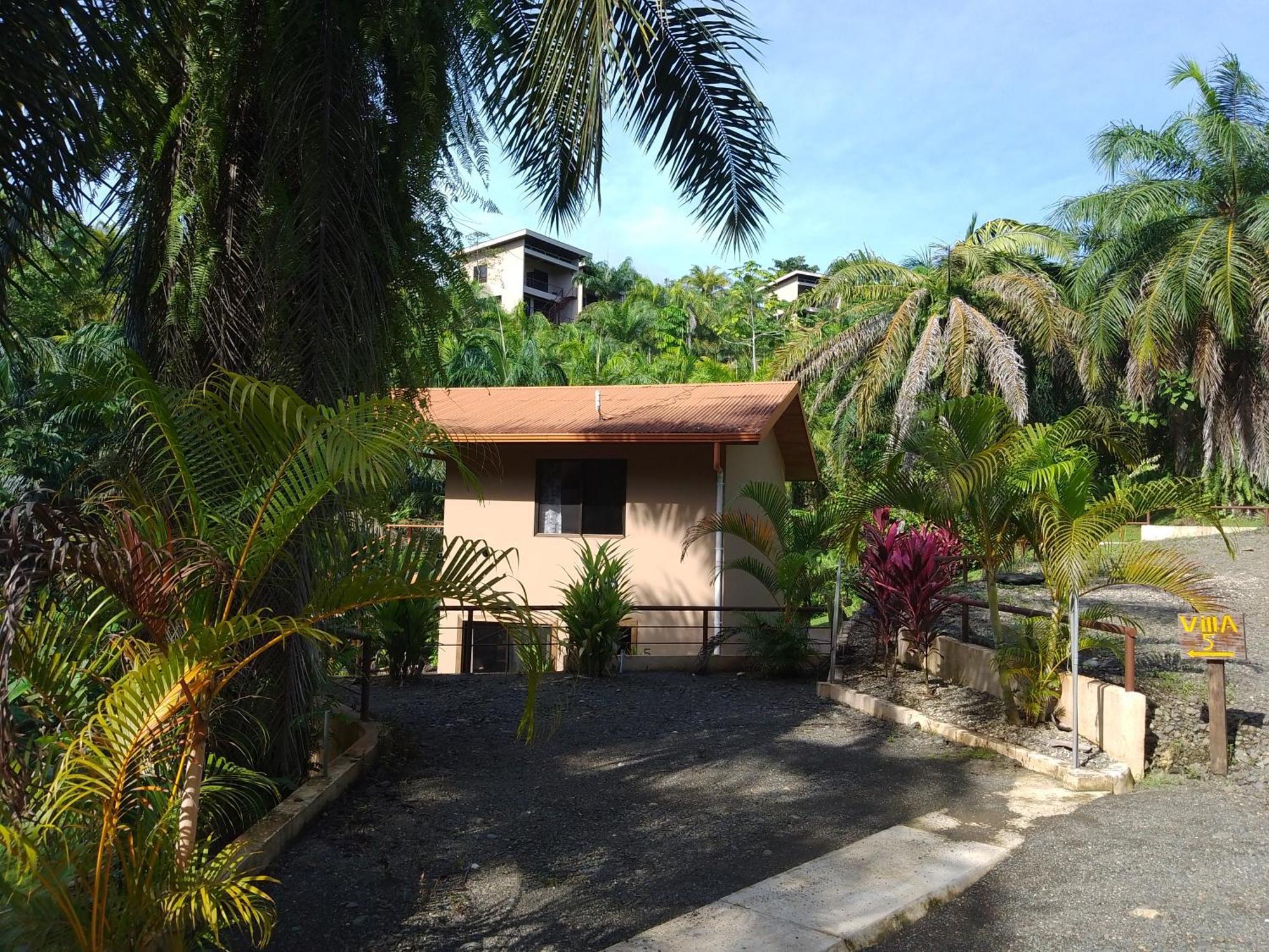 Osa Private Renting House-Villas-Tented-Best Views-Nature-Comfort Puerto Jiménez Esterno foto