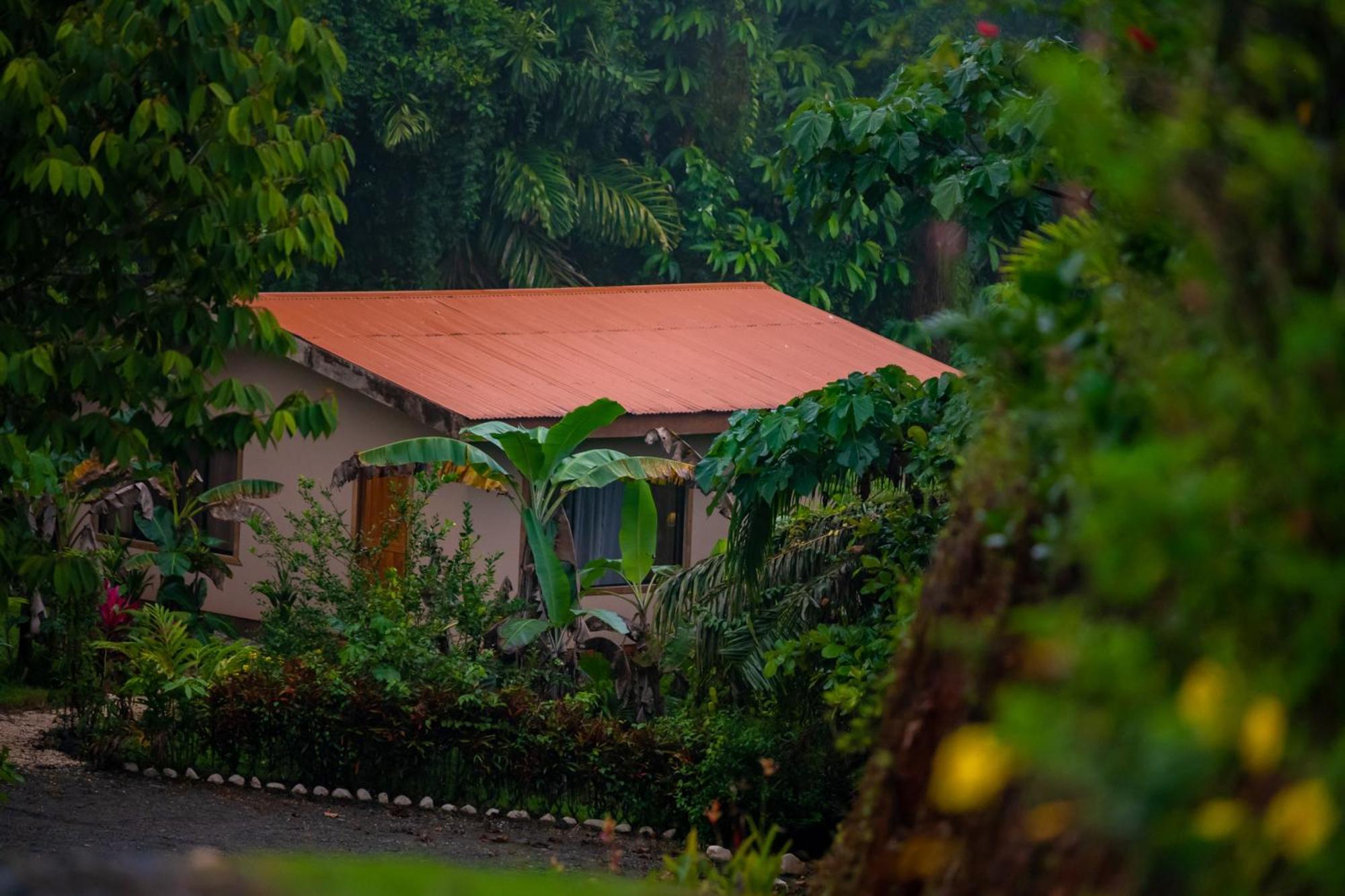Osa Private Renting House-Villas-Tented-Best Views-Nature-Comfort Puerto Jiménez Esterno foto